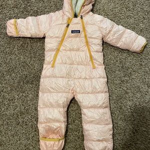 Patagonia Snow Bunting